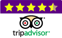 Tripadvisör