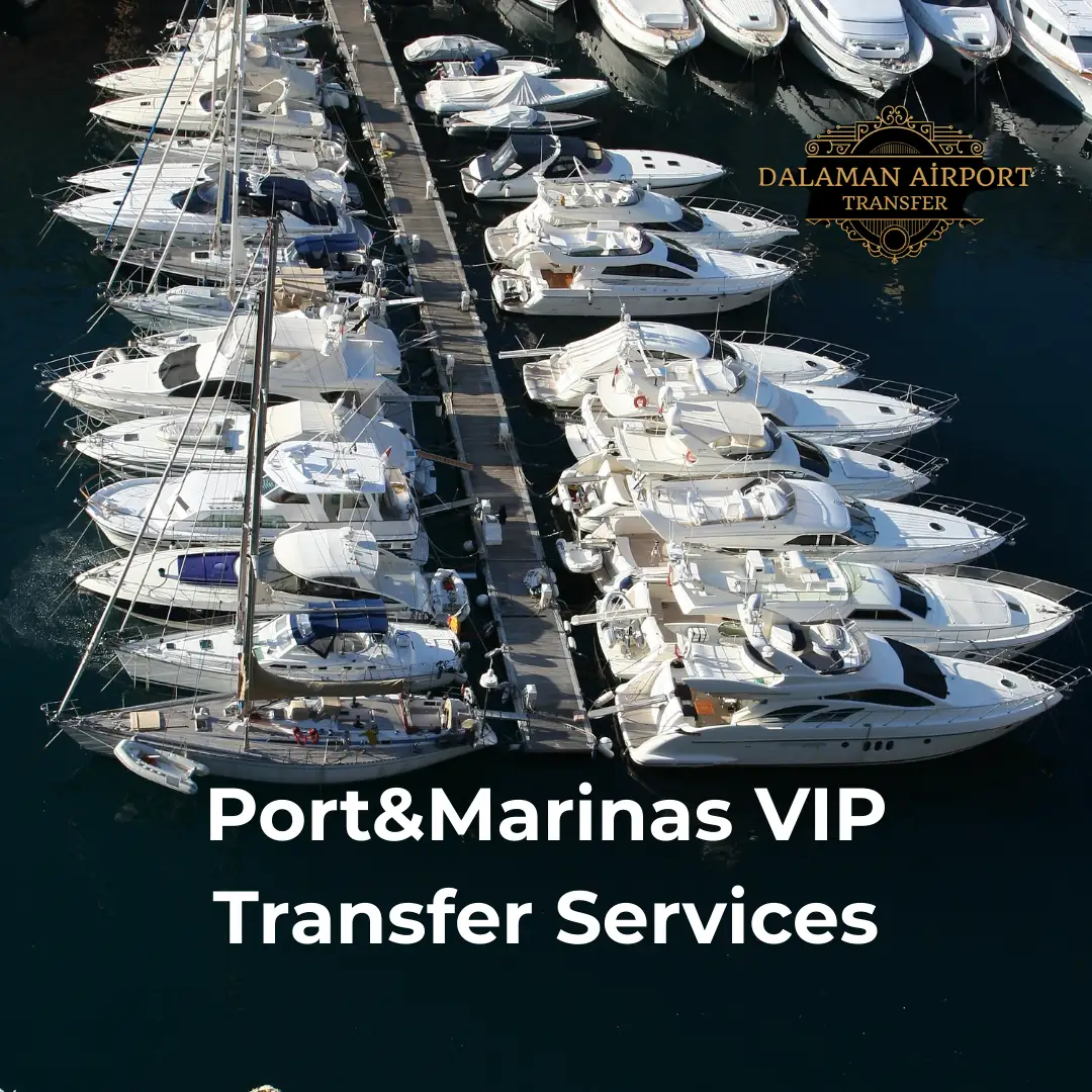 Marina Transfer